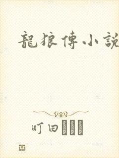 龙狼传小说