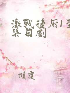 激战后厨1至5集日剧