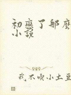 初恋了那么多年小说