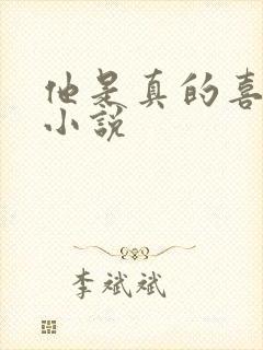 他是真的喜欢你小说