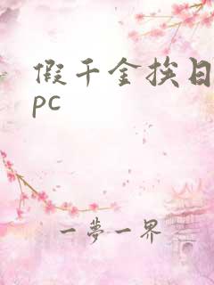 假千金挨日记npc