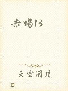 赤蝎13