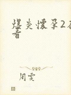 爆炎怀孕2在线看