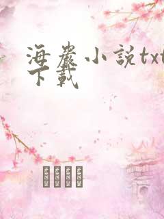 海岩小说txt下载