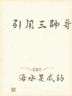 引用三帅哥