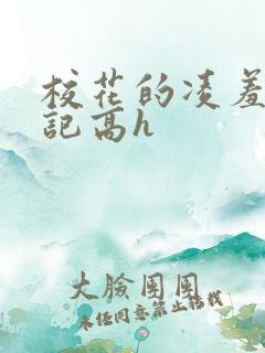 校花的凌羞辱日记高h