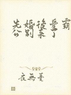 先婚后爱霸道老公别来了