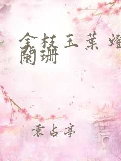 金枝玉叶 灯火阑珊