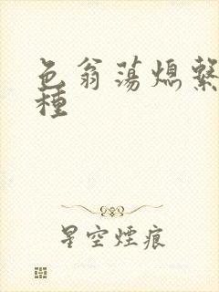 色翁荡熄系列借种