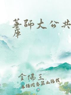 华师大公共数据库