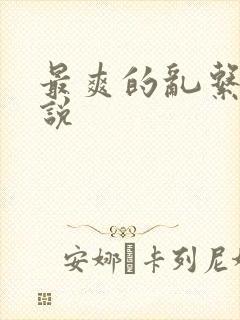 最爽的乱系列小说