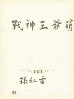 战神王爷萌虎妃