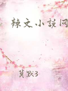 辣文小说网