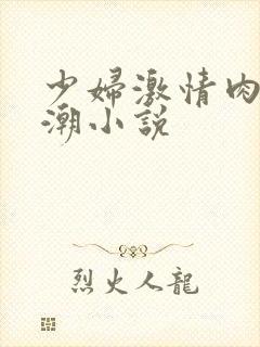 少妇激情肉欲高潮小说