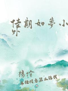 佳期如梦小说番外