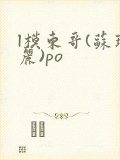 l模东哥(苏玛丽)po