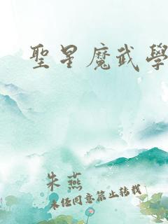 圣星魔武学院