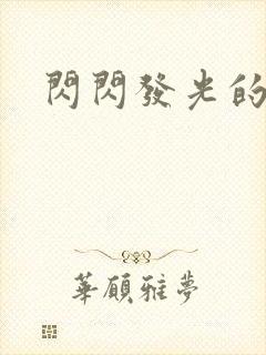 闪闪发光的大人