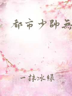 都市少帅无弹窗