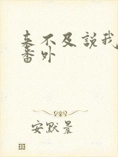 来不及说我爱你番外