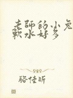 老师的小兔子好软水好多