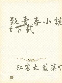 致青春小说txt下载