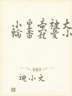 小皇帝被大臣们轮番宠爱小说