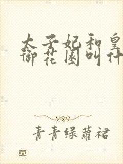 太子妃和皇帝在御花园叫什么小说