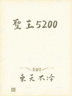 圣王5200