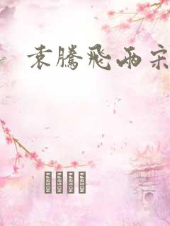 袁腾飞两宋风云