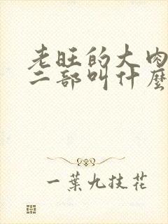 老旺的大肉蟒第二部叫什么小说