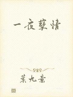 一夜孽情