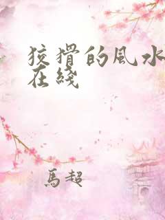 狡猾的风水相师在线