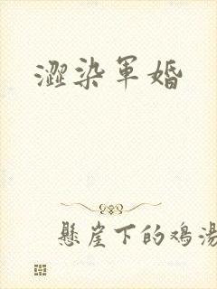 涩染军婚
