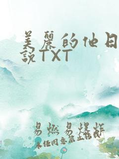 美丽的他日剧小说TXT
