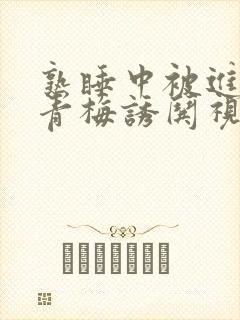 熟睡中被进了H青梅诱哄视频