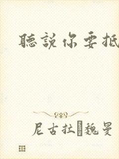 听说你要抵抗我