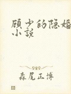 顾少的隐婚罪妻小说