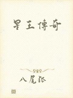 星王传奇
