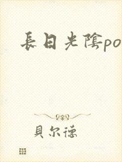 长日光阴po