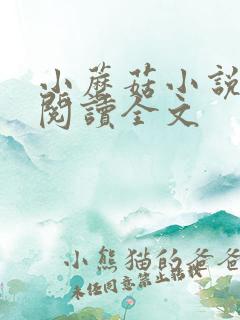 小蘑菇小说免费阅读全文