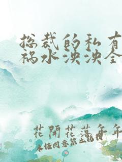 总裁的私有宝贝祸水泱泱全文阅读