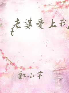 老婆爱上我txt