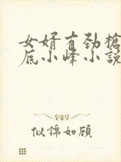 女婿有劲枪枪到底小峰小说