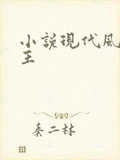 小说现代风流霸主