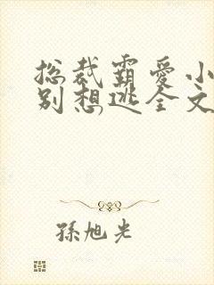 总裁霸爱小娇妻别想逃全文阅读免费