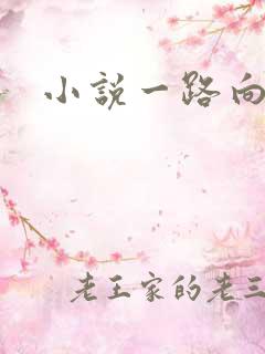 小说一路向西