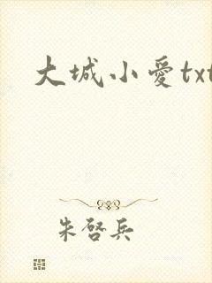 大城小爱txt