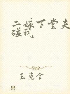 二嫁下堂夫君别碰我