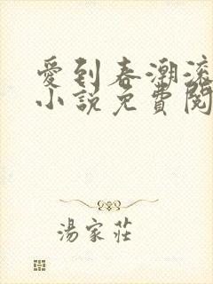 爱到春潮滚滚来小说免费阅读